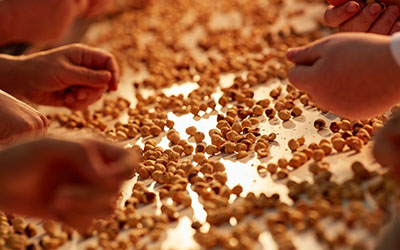 Ferrero, Gıda Sektörü Endüstriyel fotoğraf çekimi 