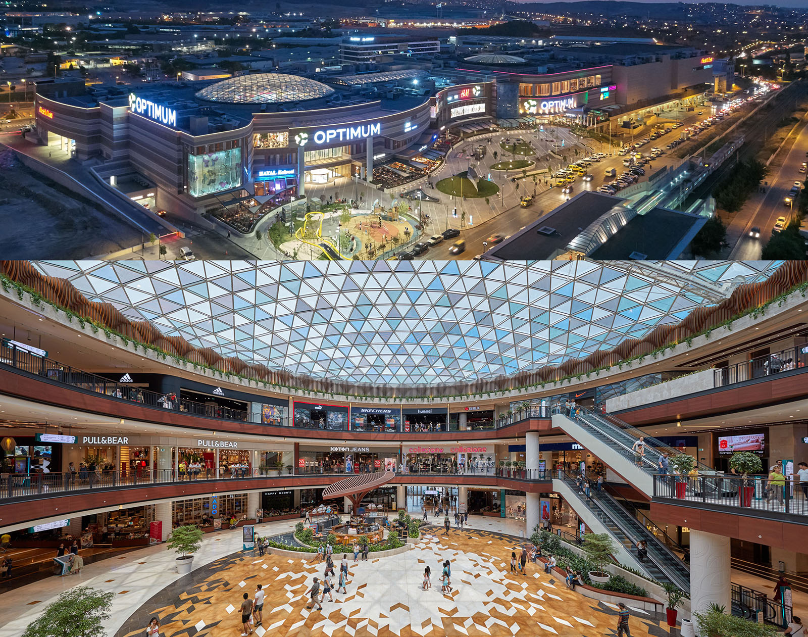 optimum avm skechers